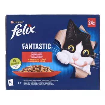 Felix Fantastic maitsed maal - märgtoit kassidele - 24x 85g