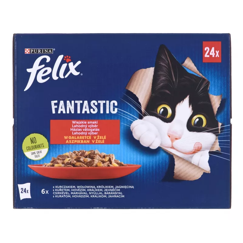 Felix Fantastic maitsed maal - märgtoit kassidele - 24x 85g