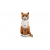 LEGO IDEAS 21376 oranž Cat