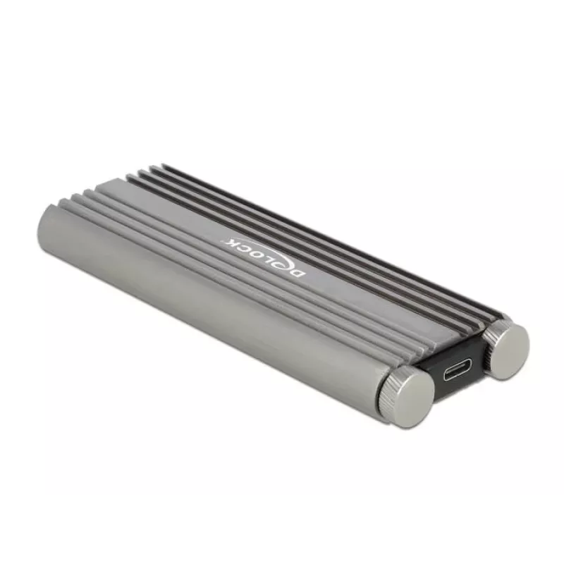 SSD-korpus DeLOCK 42001 Silver M.2