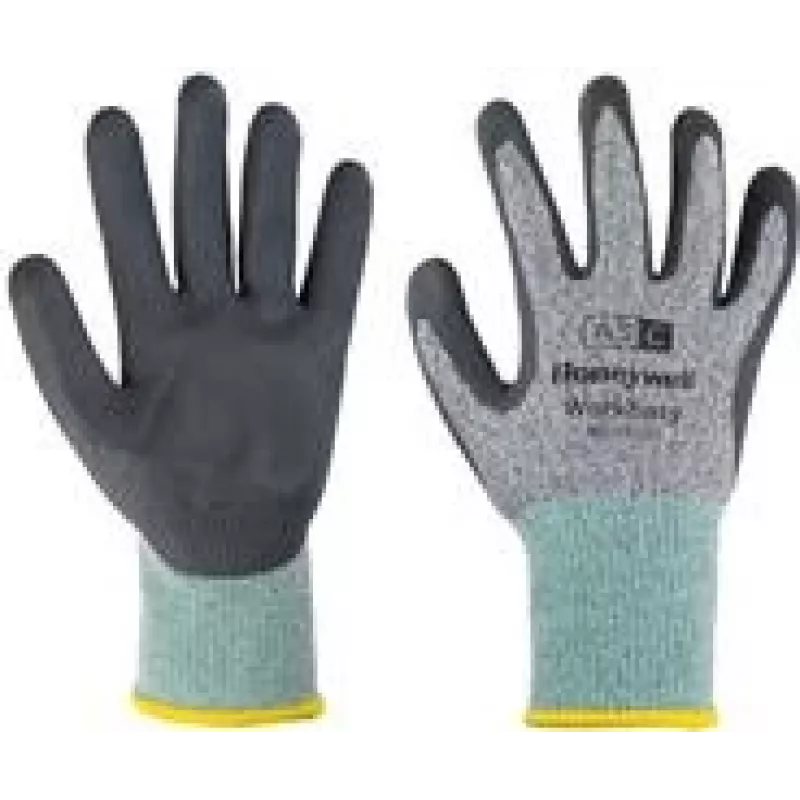 Honeywell WE23-5313G-6/XS Hall