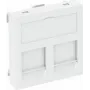 OBO Bettermann Data Technology Carrier DTG-2CRW Type C (6119214)