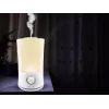 Elektriline veekeetja Beper 70.401 1,7 L 2200 W - juhtmega lauaveekeetja