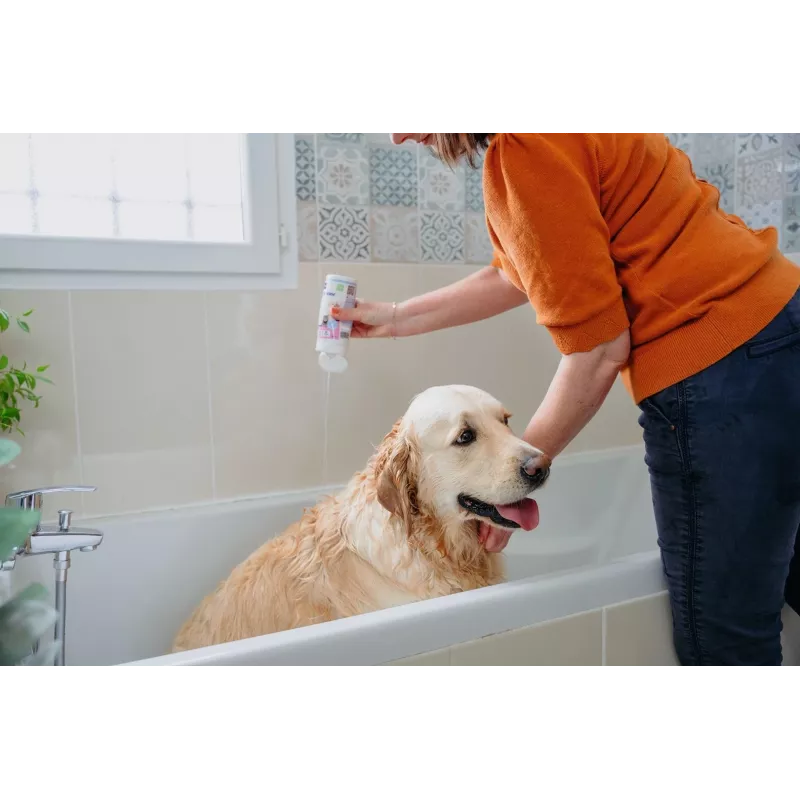 VIRBAC AllerDerm šampoon tundlikule nahale koertele ja kassidele 250 ml
