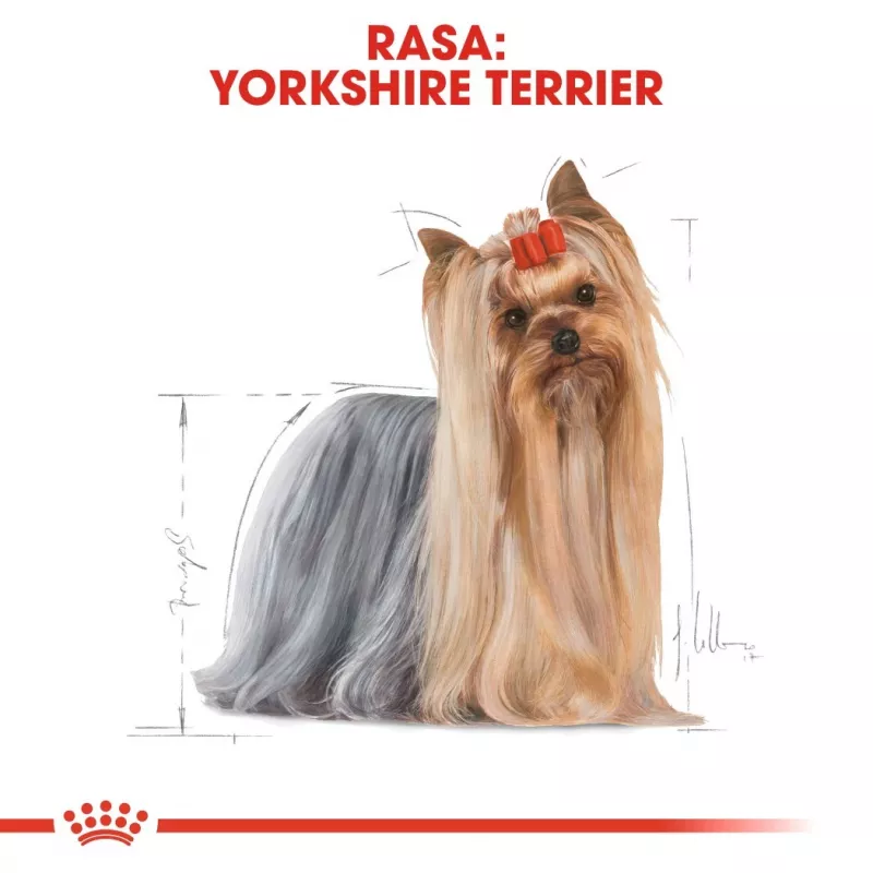 Royal Canin Yorkshire Terrier täiskasvanud 85 g