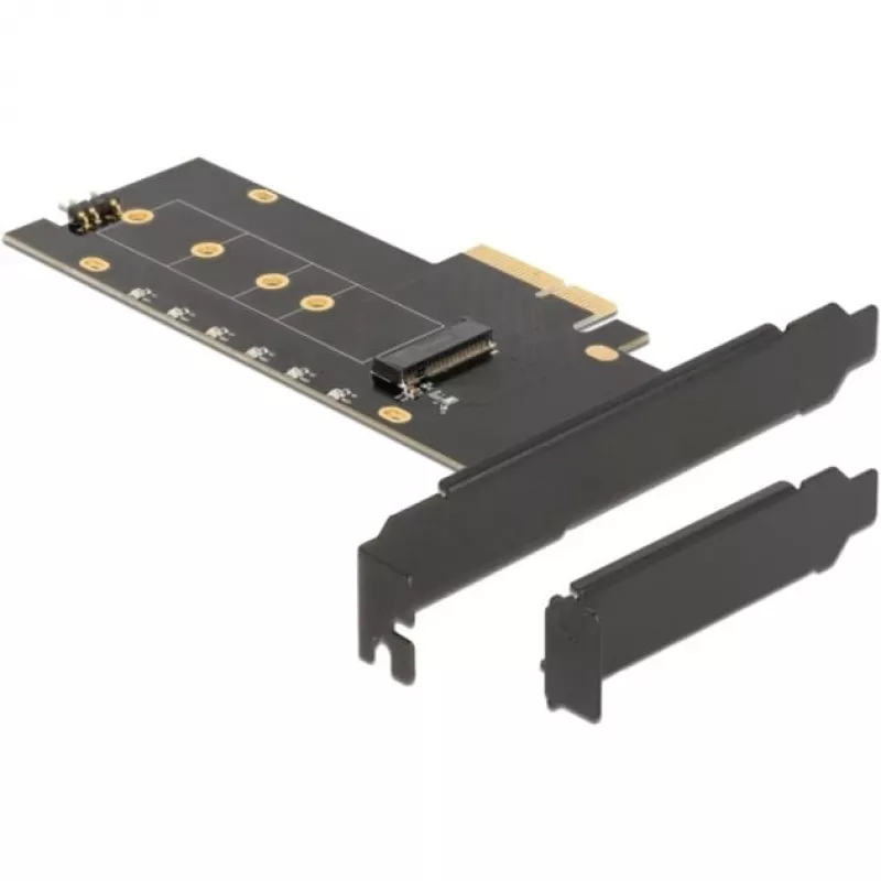 Liidesekaart DeLOCK 89013 Sisemine M.2 PCIe Madalprofiil