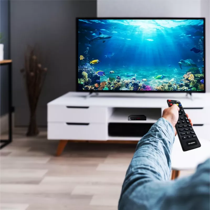 Digitaalne TV-tuuner MANTA DVBT005-SH DVB-T/T2 HEVC tugi