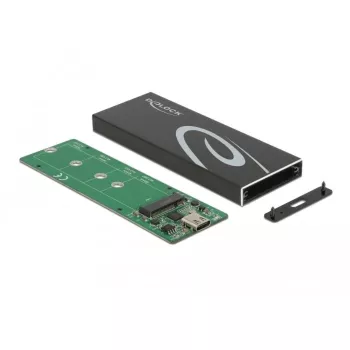 SSD korpus DeLOCK 42003 väline korpus M.2 SATA SSD-le USB USB-C-ga