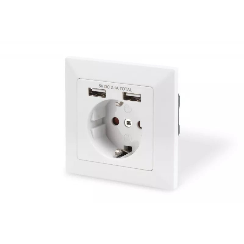 Turvapistikupesa süvispaigalduseks Digitus DA-70613 kahe USB-pordiga