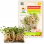 Hiina roosi redise seemned idanditeks, 20g pakend