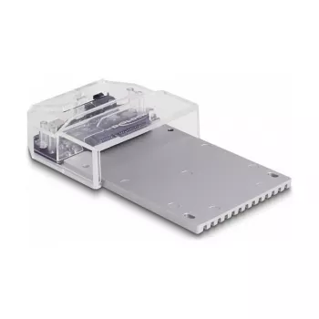 DeLOCK USB USB-C dokkimisjaam ühele U.2 SSD-le, must