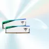 DIMM 48 GB DDR5-6000 (2x 24 GB) kahekomplekt, mälu, valge, PVER548G60C42KW, Viper Elite 5 RGB, INTEL XMP, AMD EXPO
