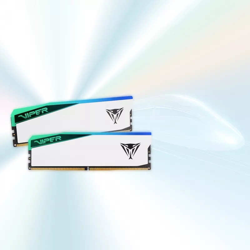 DIMM 48 GB DDR5-6000 (2x 24 GB) kahekomplekt, mälu, valge, PVER548G60C42KW, Viper Elite 5 RGB, INTEL XMP, AMD EXPO
