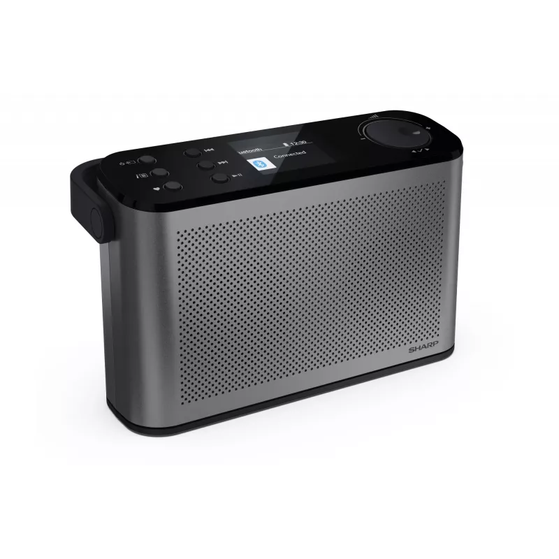 Stereo raadio Sharp OSAKA DR-P540(GY)