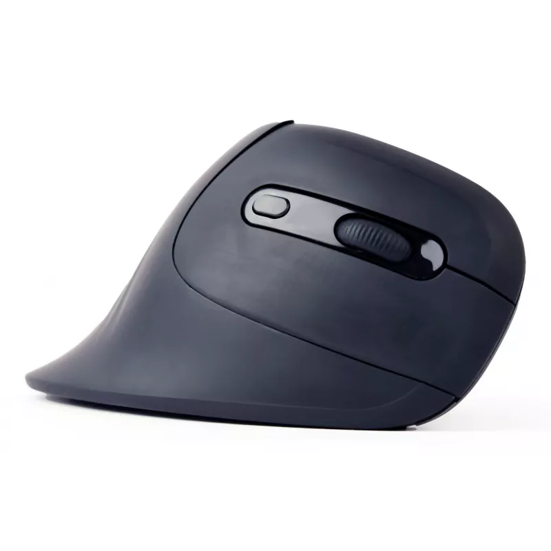 Gembird MUSW-ERGO-03 hiir Kodu Paremakäeline RF Juhtmevaba Optiline 1600 DPI