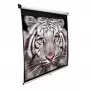 Elite Screens | M139NWX | Diagonaal 353 tolli | 16:10 | Vaadatav ekraani laius (W) 2,98 cm | Valge