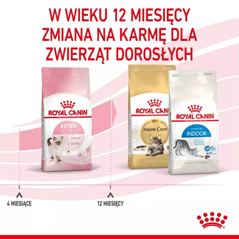 Kuiv kassitoit Royal Canin Kitten 2 kg — linnuliha (kana) retsept, valk 36%, rasv 18%