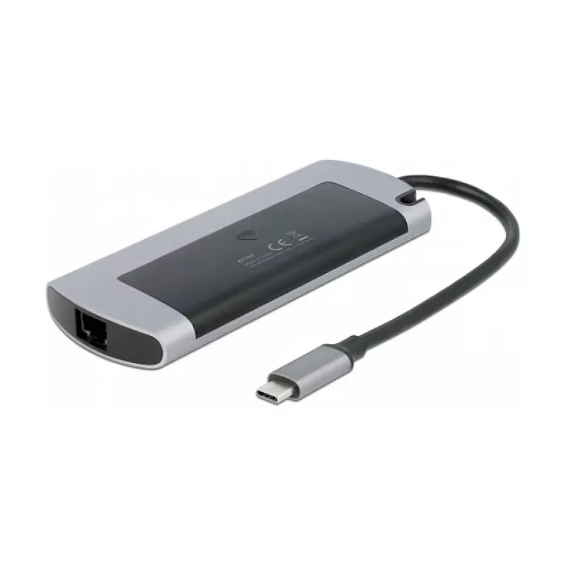 Dokkimisjaam DeLOCK USB-C dokkimisjaam M.2 pesaga