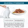 Purina GRMT PERLE GIGMV BEEF CRT kasside märgtoit 85 g