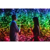 TWINKLY Strings 600 (TWS600STP-BEU) Nutikad jõulupuu tuled 600 LED RGB 48 m