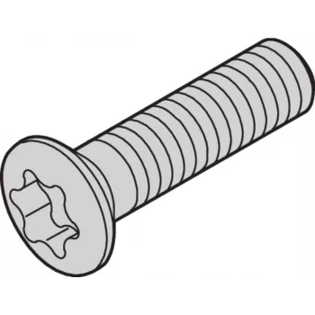 SCHROFF Linsenkopfschraube - LIKOSHR M2.5X10 PENTORX 100X (24560179)