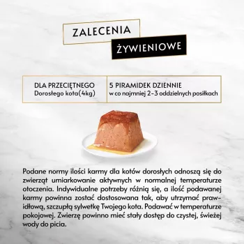 Märg kassitoit Purina Gourmet Revelations lõhega kotike 2 x 57 g, täiskasvanud kassidele, 81% niiskust