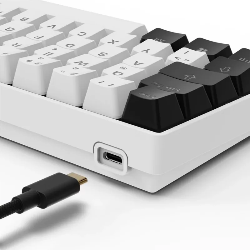 Sharkoon SGK50 S4 klaviatuur Kodu USB QWERTZ Saksa Valge RGB LED 60%