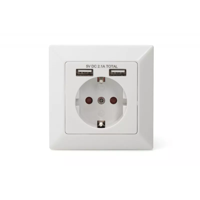 Turvapistikupesa süvispaigalduseks Digitus DA-70613 kahe USB-pordiga
