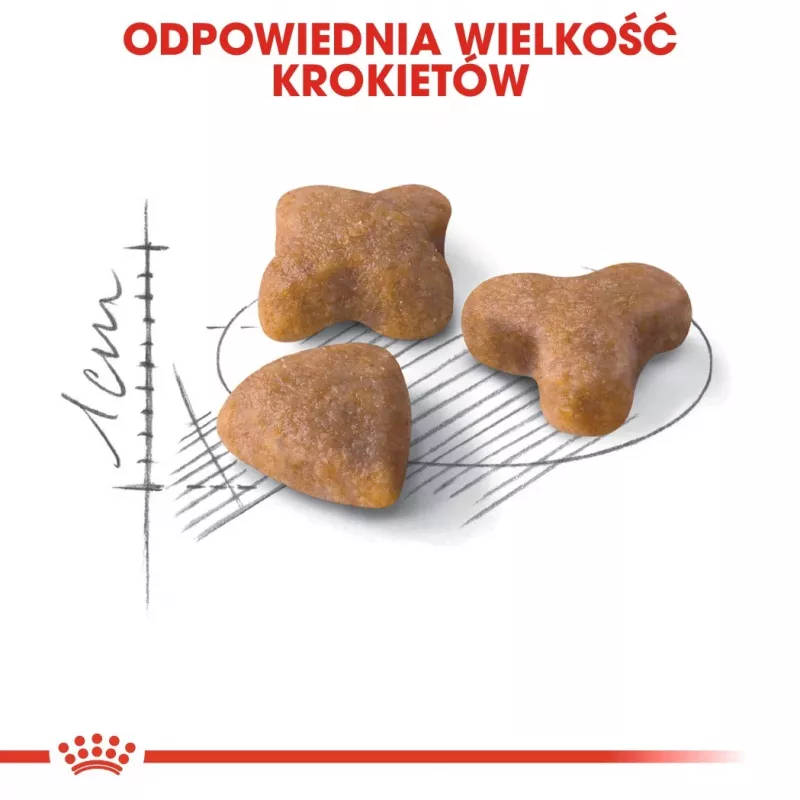 Kuiv kassitoit Royal Canin Sensible 33 Adult, 10 kg — kana, 33% valku, kuseteede kontroll