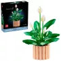 LEGO BOTANICALS 11504 Rahuliilia