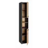 Topeshop S30 ANTRACYT/ARTISAN vannitoa hoiukapp