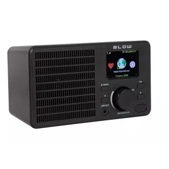 Raadio RI1 internet