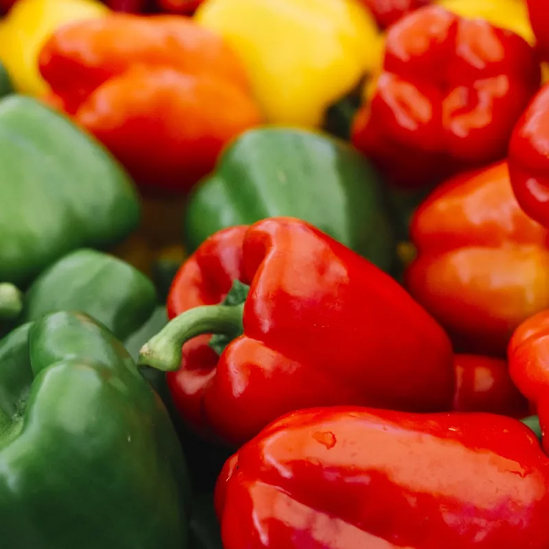 Seemnesegu Seklos LT PNOS — Magusa paprika seemned, pakendis 0,6 g