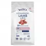BALTICA Nutraceutic Hypoallergenic S Lamb with rice - kuiv koeratoit - 12 kg