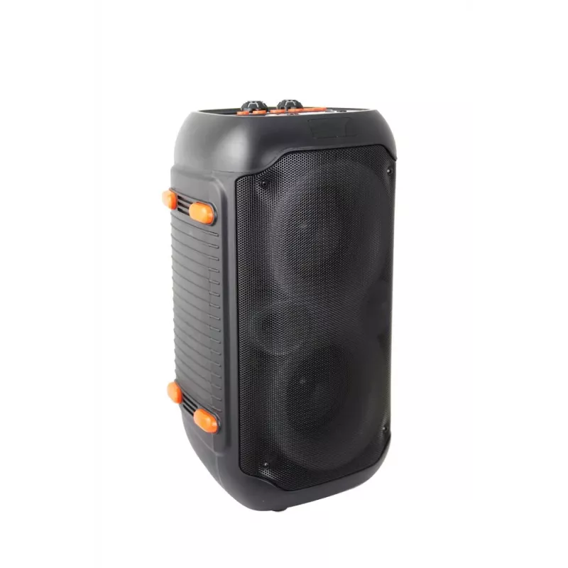 Esperanza EP156 BT FM LED RGB KARAOKE kõlar must 20W