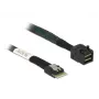 DeLOCK SAS-kaabel 85081 0,5 m õhuke SAS SFF-8654 Mini SAS HD SFF-8643
