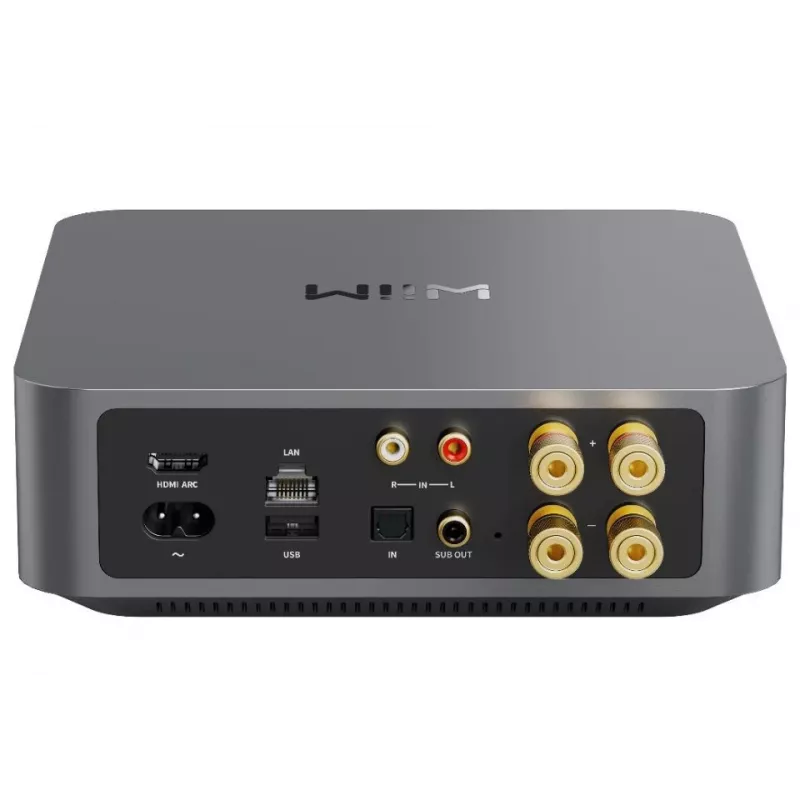 WiiM Amp Dark hall - Stereo Streaming Amplifier