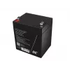 Green Cell AGM45 UPS aku suletud pliiaku (VRLA) 12 V 5,3 Ah