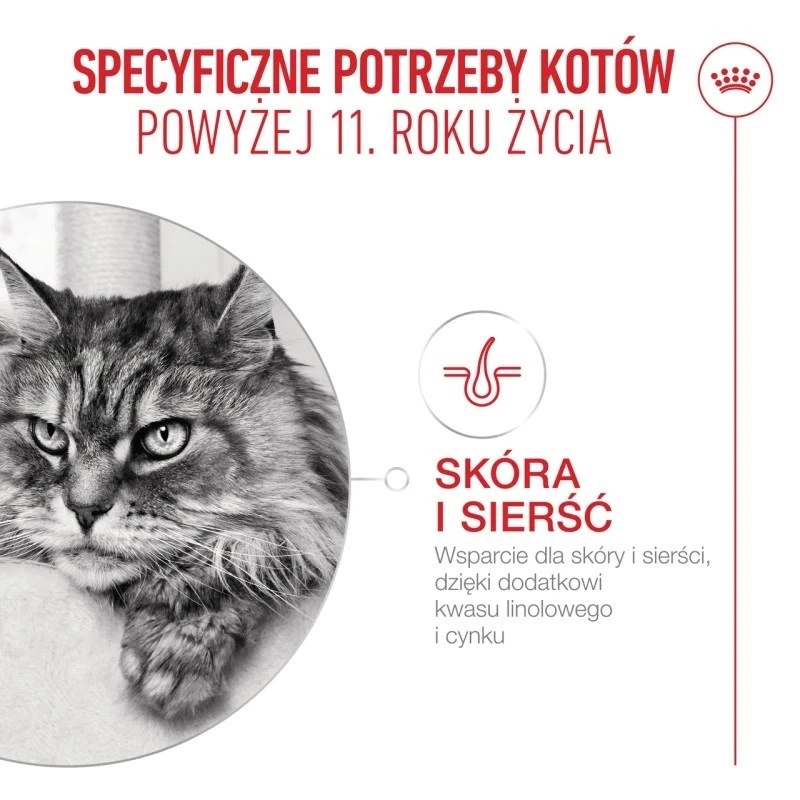 Kuiv kassitoit Royal Canin FHN Ageing 11+ 2 kg — linnuliha, 30% valku, liigeste- ja neerutoetus