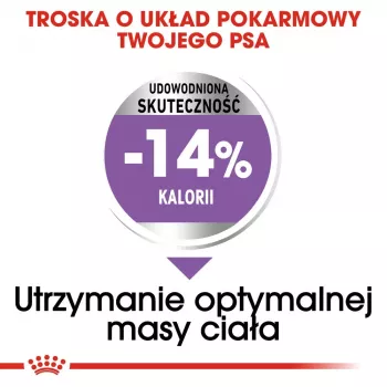 Kuiv koeratoit Royal Canin Mini Sterilised Care — 3 kg, kana, steriliseeritud väikeste tõugude jaoks (5–10 kg), täiskasvanud, 30% valku