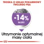 Kuiv koeratoit Royal Canin Mini Sterilised Care — 3 kg, kana, steriliseeritud väikeste tõugude jaoks (5–10 kg), täiskasvanud, 30% valku