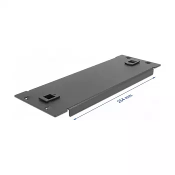 Pimepaneel DeLOCK 10-tolline võrgukapp 66578