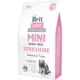 Kuiv koeratoit Brit Care Mini Grain Free Yorkshire 2 kg — lõhe ja tuunikala, 30% valku, 19% rasva, gluteeni- ja laktoosivaba