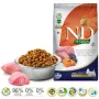 FARMINA N&D Pumpkin Lamb&Blueberry Mini Adult - kuivtoit koertele - 7 kg