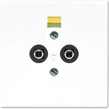 Pistikupesa JUNG LS 965-2 WW