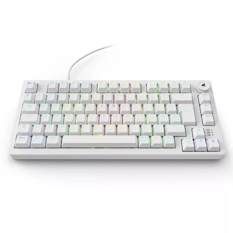 Sharkoon SGK25 75% QWERTZ USB juhtmega RGB LED klaviatuur, valge