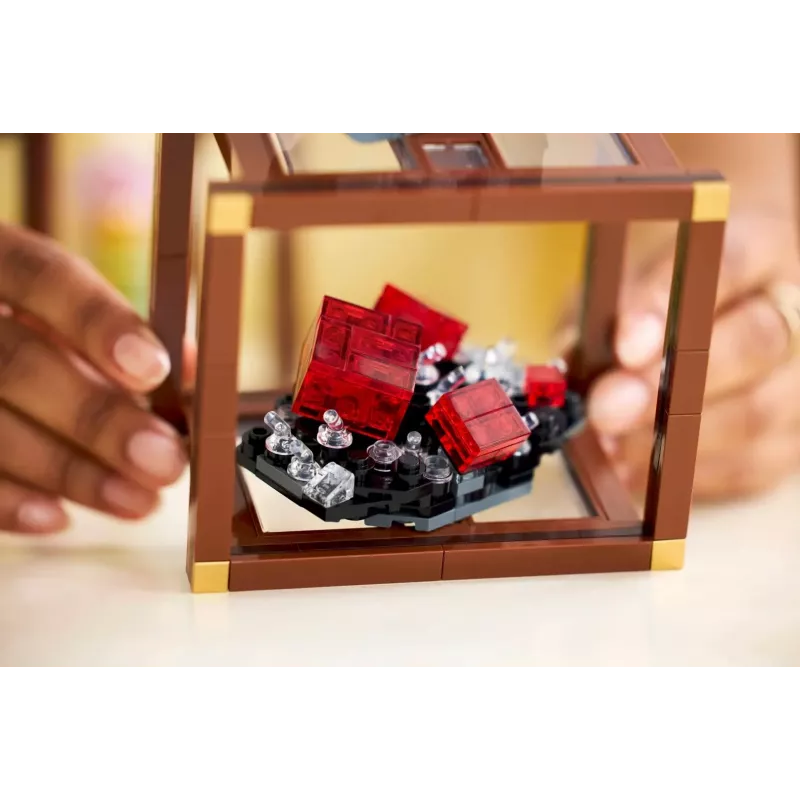 Konstruktsioonikomplekt LEGO Ideas mudel 21362, 880 tk, soovitatav vanus 18+