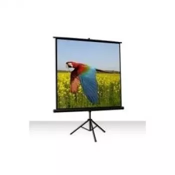 Celexon Economy 1:1 statiiviekraan 184 x 184 (1090016)