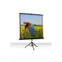 Celexon Economy 1:1 statiiviekraan 184 x 184 (1090016)