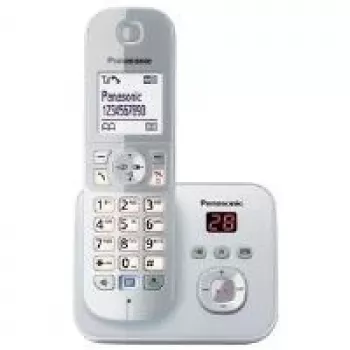 DECT telefon Panasonic KX-TG6821GS